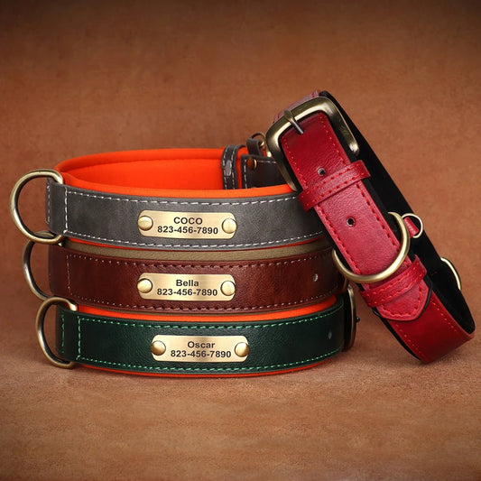 Personalized Leather ID Collar - main product photo