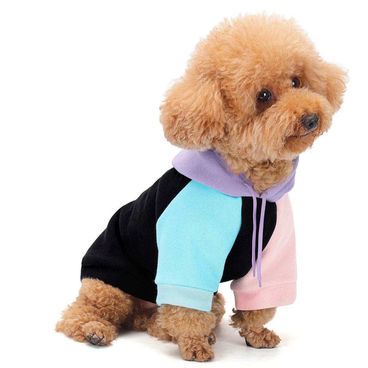 premium dog hoodie for all breeds