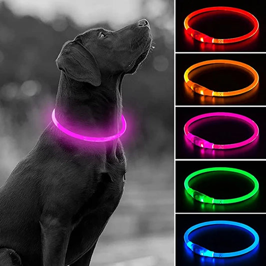 USB Rechargeable LED Glow Collar - main product photo