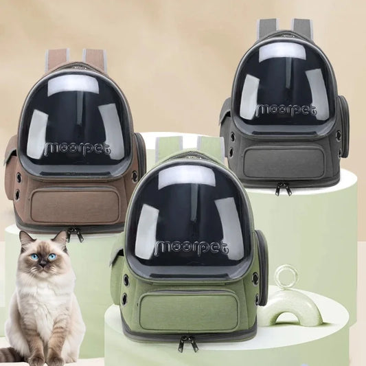 Transparent Travel Backpack Carrier - cat inside travel backpack carrier