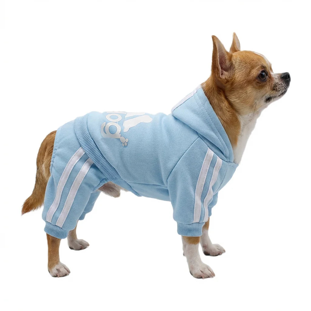 classic dog hoodie for small breeds