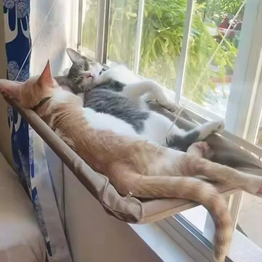 Cat Window Hammock - main product photo