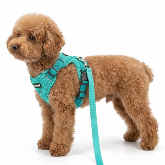 Reflective Harness & Leash Set - main product photo