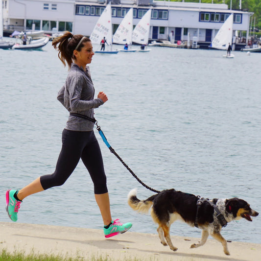 Hands-Free Running Leash with Waist Belt - main product photo