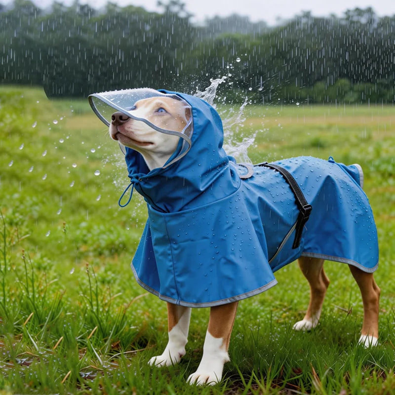 waterproof hooded dog raincoat