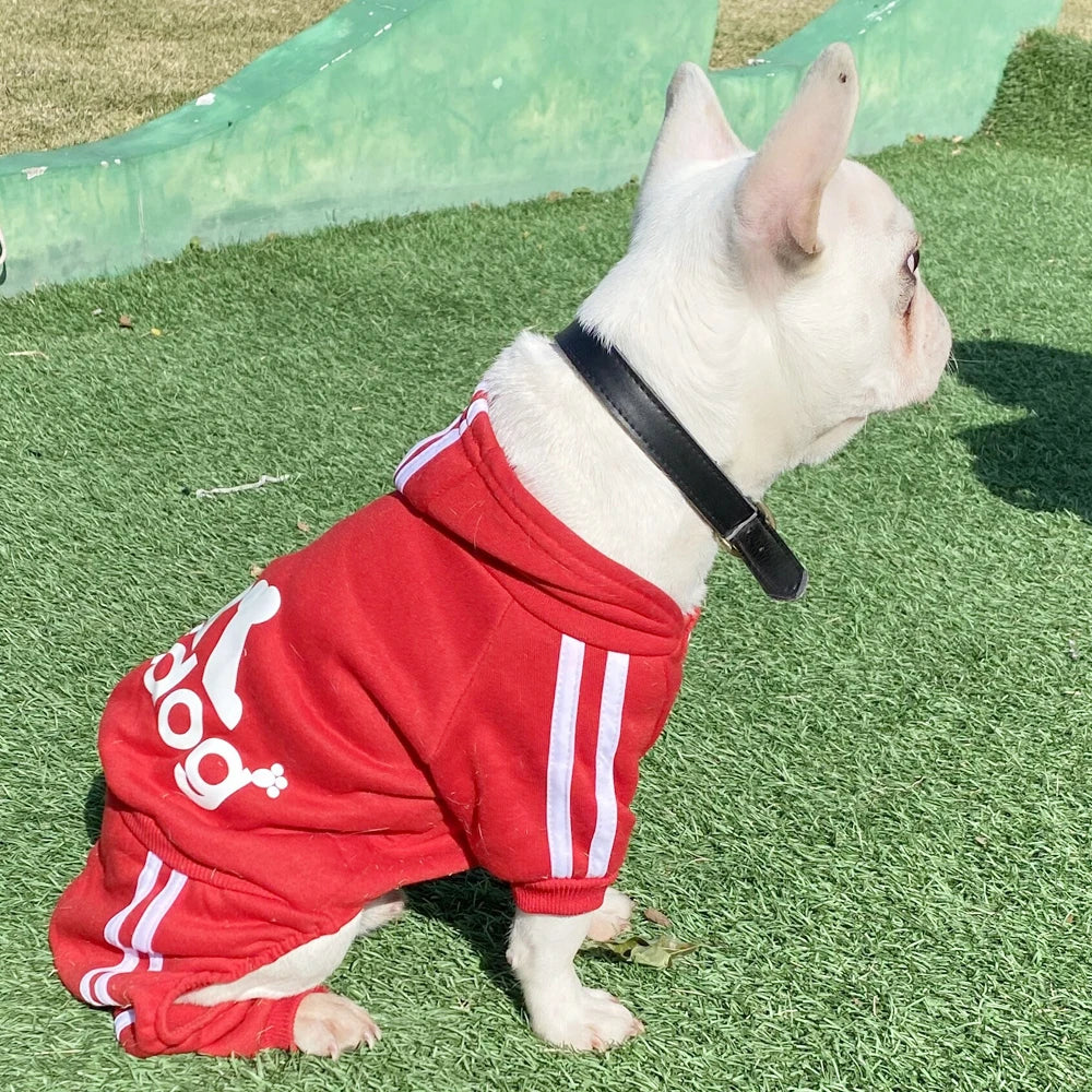 classic dog hoodie for small breeds