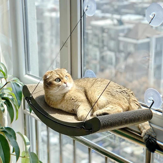Curved Window Hammock Bed for Cats - main product photo