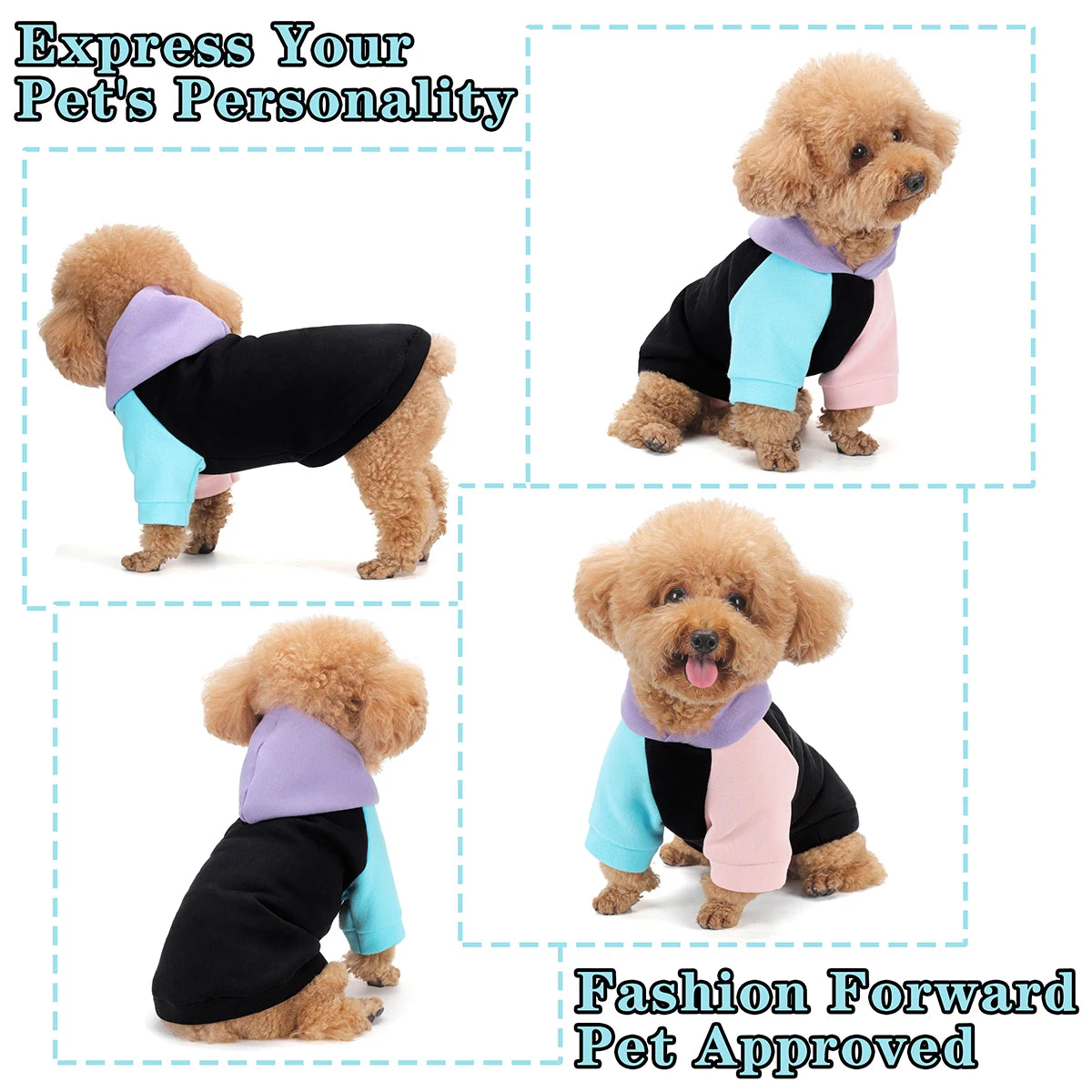 premium dog hoodie for all breeds