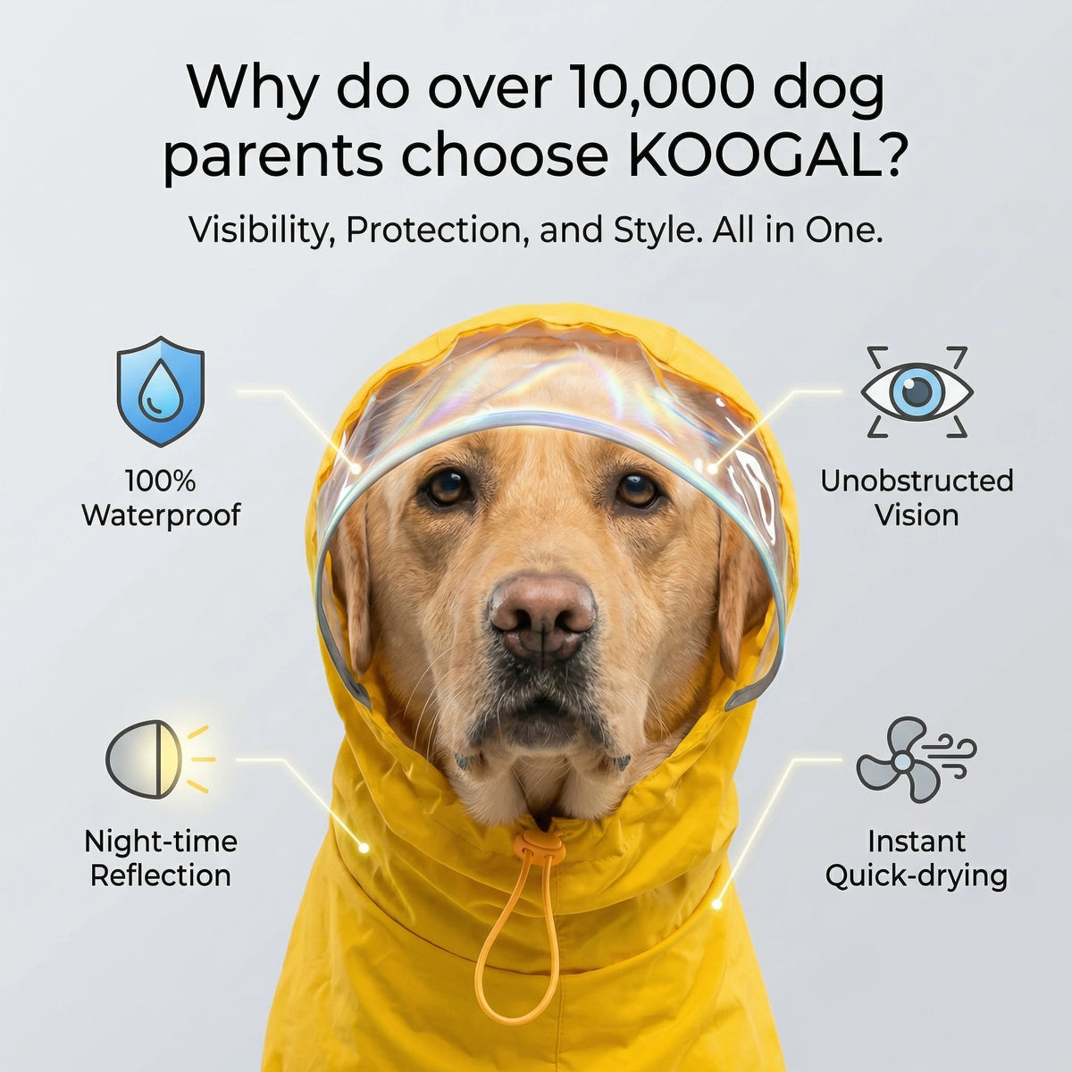 waterproof hooded dog raincoat