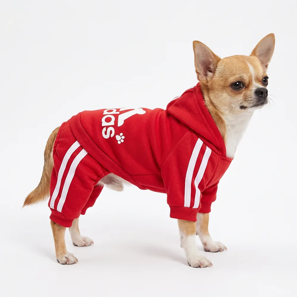 classic dog hoodie for small breeds