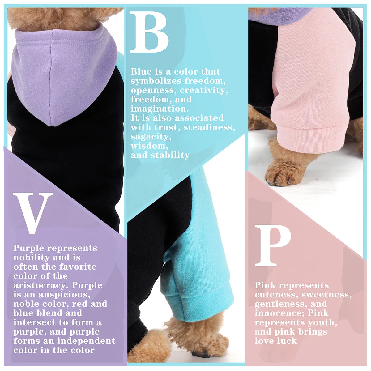 premium dog hoodie for all breeds